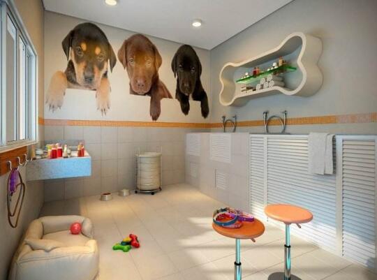 寵物店怎么設(shè)計？寵物店設(shè)計3大原則