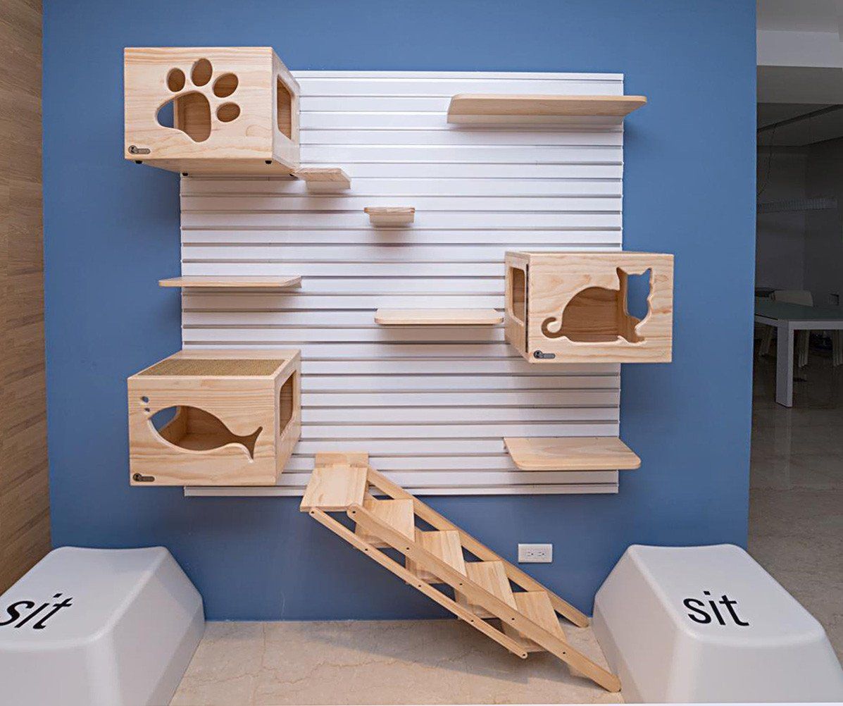 貓咖裝修風(fēng)格如何選擇？